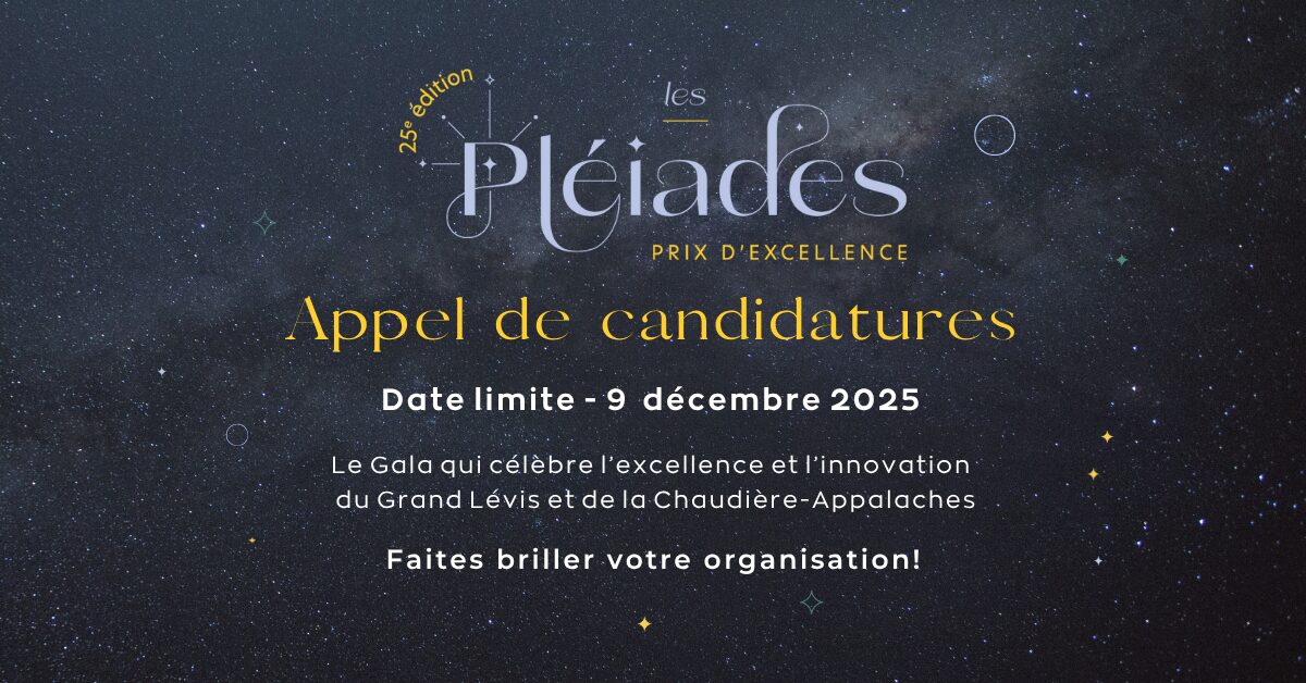 https://cciglevis.ca/wp-content/uploads/2025/10/appel-de-candidatures-seul-2.jpg